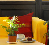 coffee mornings